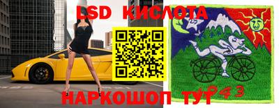 гашик Шебекино