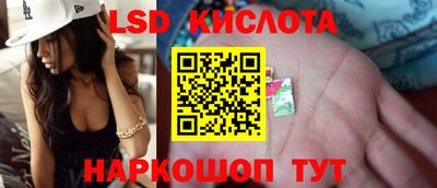 гашик Шебекино