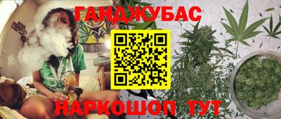 гашик Шебекино