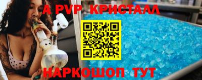 стафф Шелехов