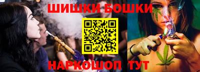 стафф Шелехов