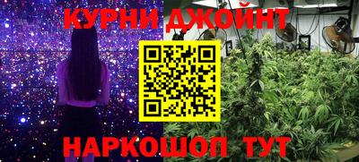 гашик Шебекино