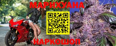 стафф Шелехов
