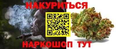 гашик Шебекино