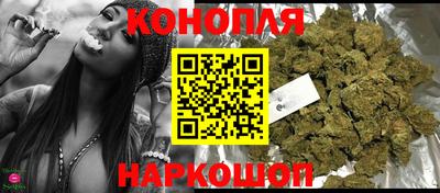 стафф Шелехов