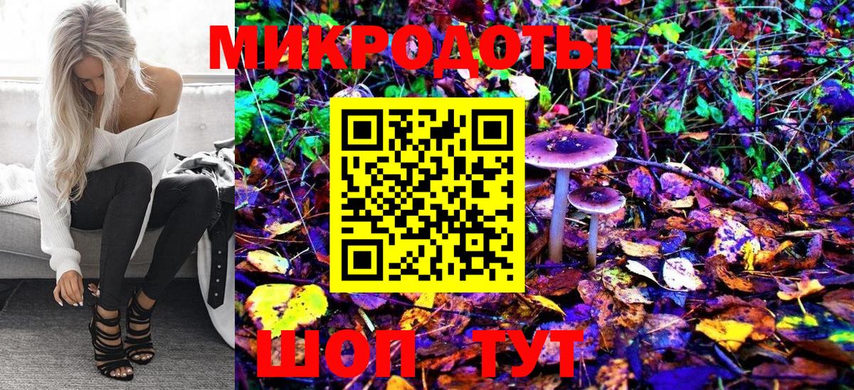 Галлюциногенные грибы Cubensis Рязань