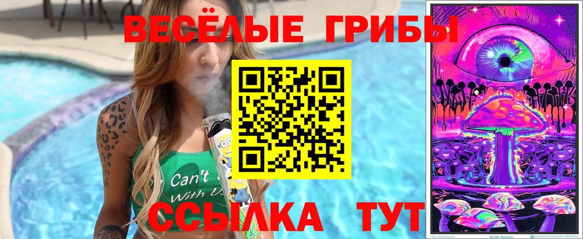 Псилоцибиновые грибы Psilocybe  Вход с VPN  Рязань 
